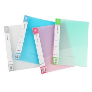 Frosted Ring Binder